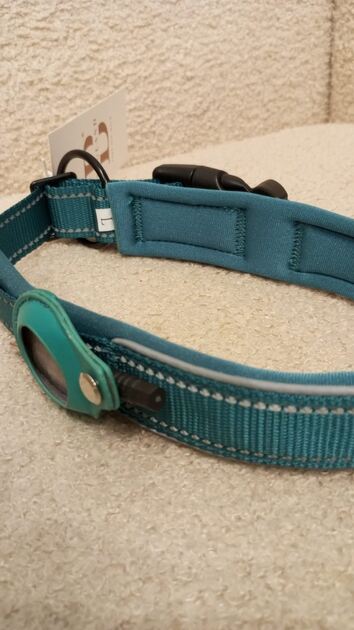 Coleira Verde c/local para localizador - Nova. Camas para animais de estimação