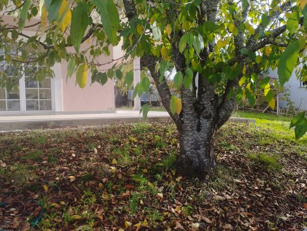 Moradia independente, Acabamentos Excecionais e C. Casa e apartamentos para vender