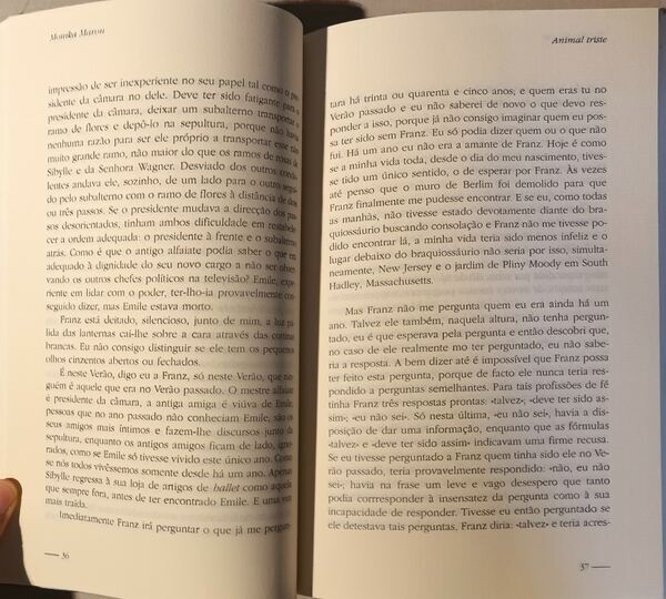 Animal Triste - Monika Maron. Livros