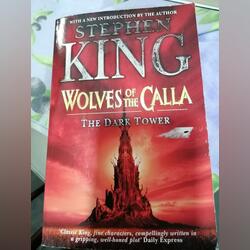 Wolves of the Calla. Livros. Águeda.  Literatura internacional   