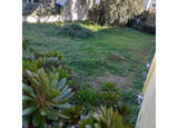 Terreno Urbano. Lote