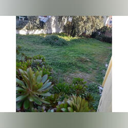 Terreno Urbano. Lote