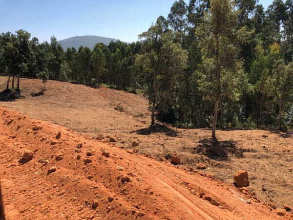 Terreno urbano Pombal. Quintas