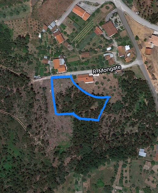 Terreno urbano Pombal. Quintas