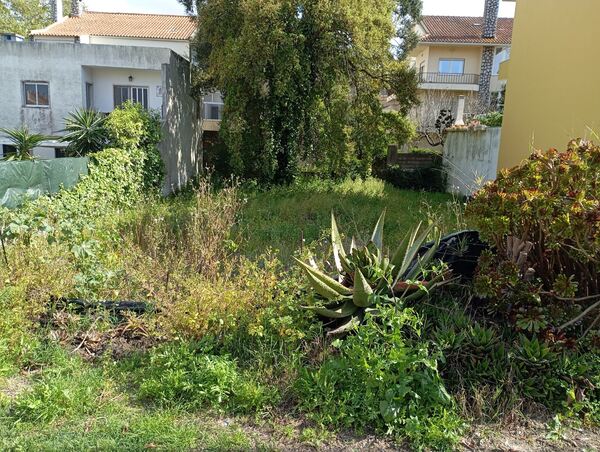 Terreno Foros de Amora - . Lote