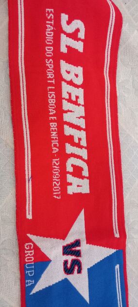 cachecol do sport lisboa benfica . Lenços
