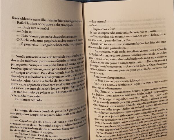 O Deus das Moscas - William Golding. Livros