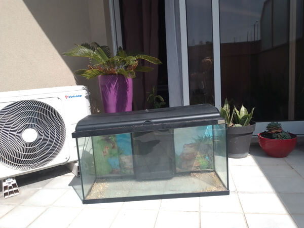Aquario completo 170 litros , com assessórios. 200 €. Animais. Paredes
