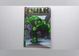 BD Hulk : adaptação oficial do filme . Banda Desenhada. Almodôvar