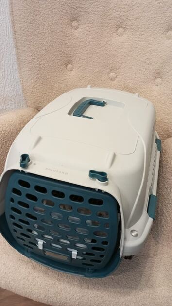 Box transporte de animais Verde. Transportadoras para animais