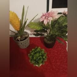 Vendo plantas artificiais . Plantas