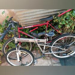 vendo as 2 bicicletas . Bicicletas