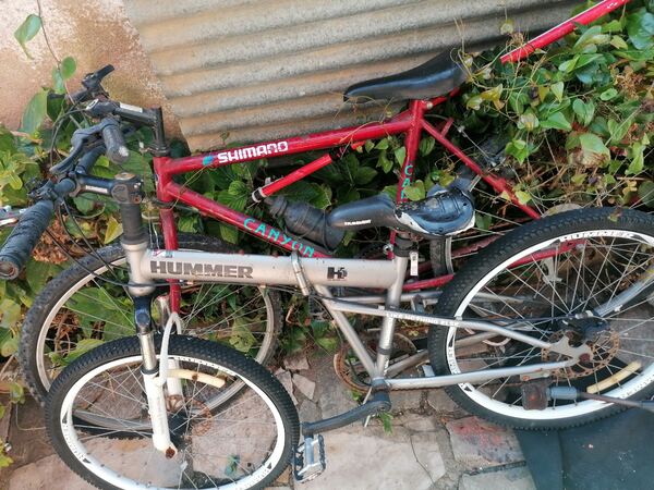 vendo as 2 bicicletas . Bicicletas