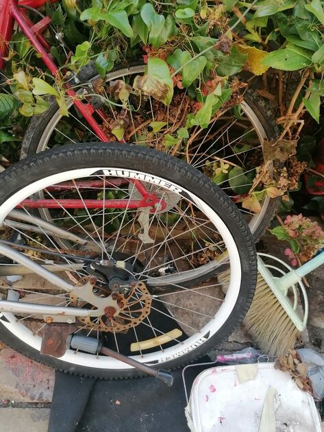 vendo as 2 bicicletas . Bicicletas