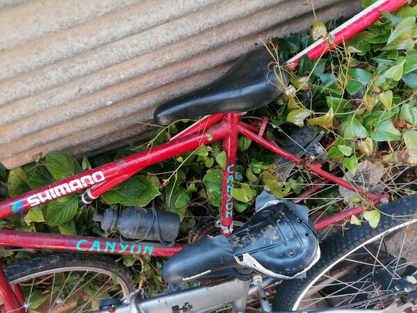 vendo as 2 bicicletas . Bicicletas