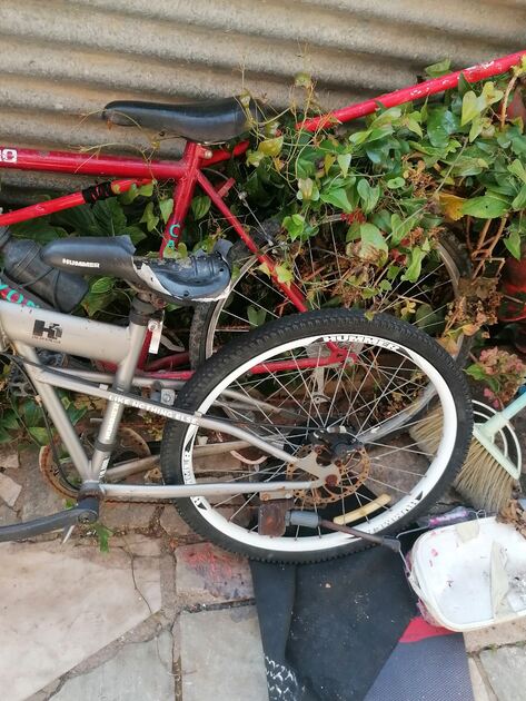 vendo as 2 bicicletas . Bicicletas