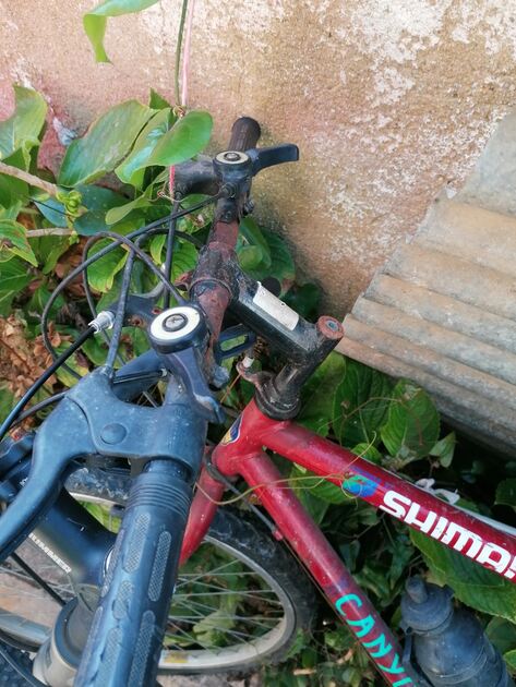vendo as 2 bicicletas . Bicicletas