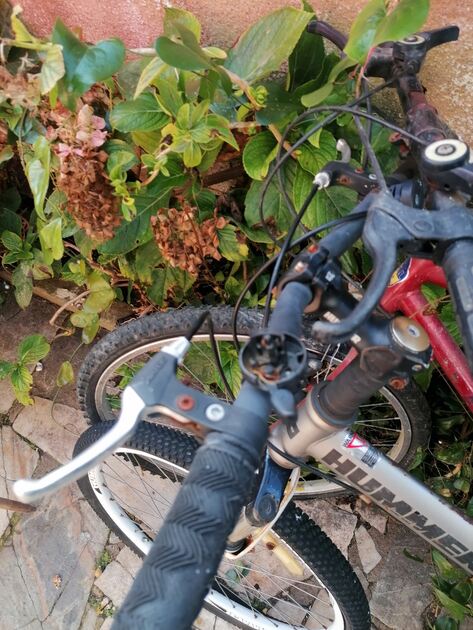 vendo as 2 bicicletas . Bicicletas