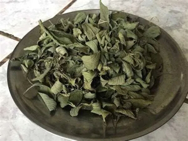Erva Cidreira /Melissa officinalis Biológica Seca . Alimentos