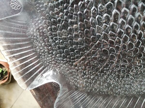 prato grande /travessa em vidro , forma de peixe. Artigos de Vidro