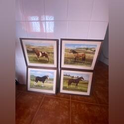 Quadros de cavalo. Quadros