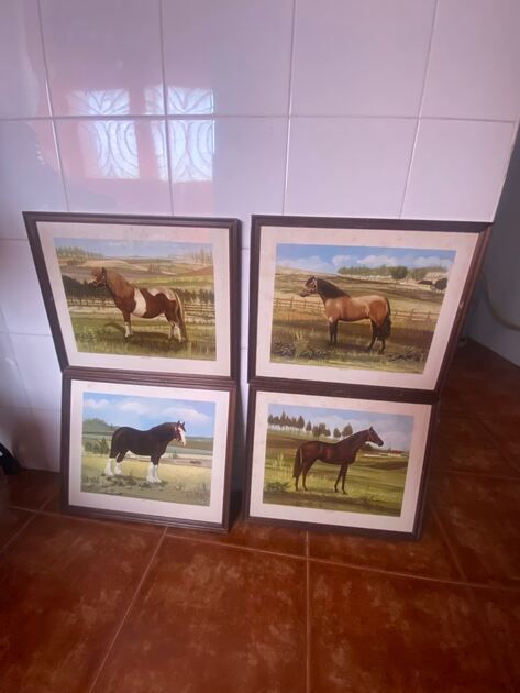 Quadros de cavalo. Quadros